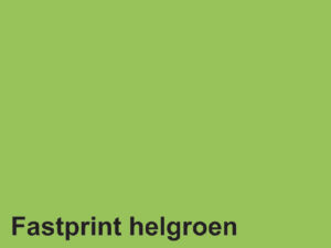 KOPIEERPAPIER FASTPRINT A4 160GR HELGROEN